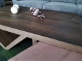 HOPE COFFEE TABLE (TS)